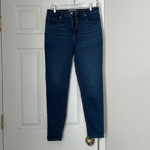 Everlane The Curvy High-Rise Skinny Jean Size 30 Dark Wash Classic Fit